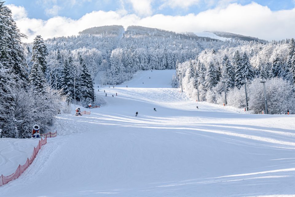 Preparerad skidbacke mellan snötäckta granar en klar vinterdag
