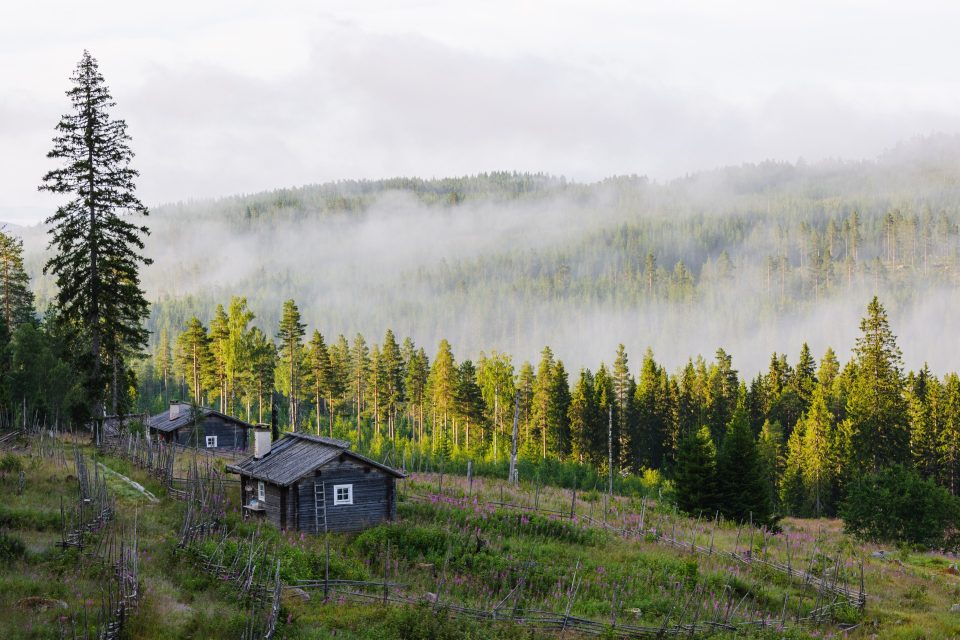 Små stugor i en skogsglänta med dimma över skogsklädda åsar