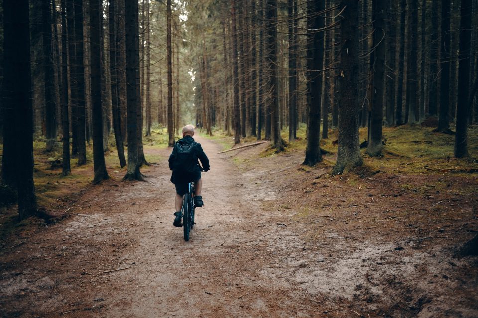 Cyklist på terrängcykel rullar längs en grusstig mellan höga granar